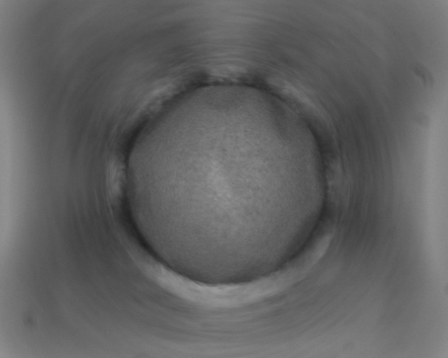 X0000114120038200910191732