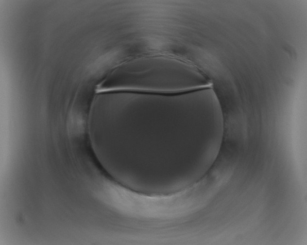 X0000114120039200910191732