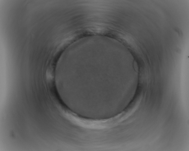 X0000114120040200910191732