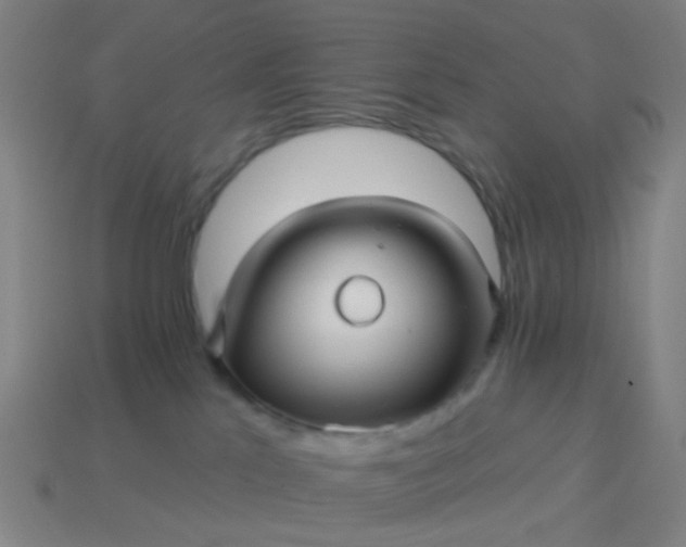 X0000114120041200910191732