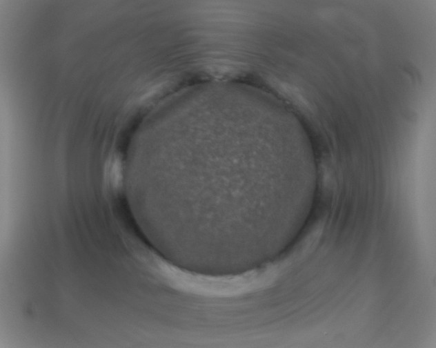 X0000114120042200910191732