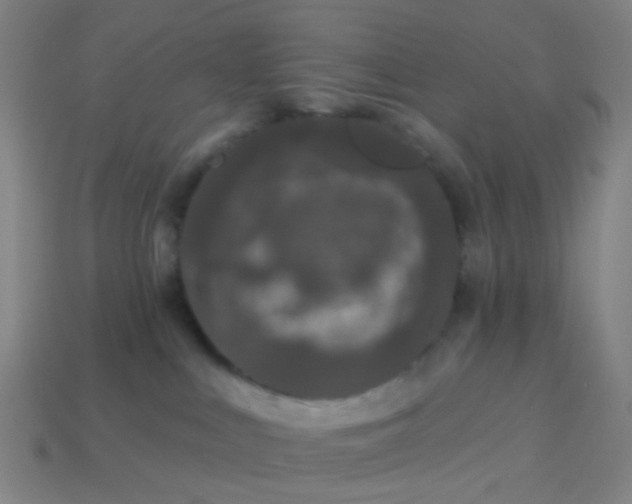 X0000114120043200910191732