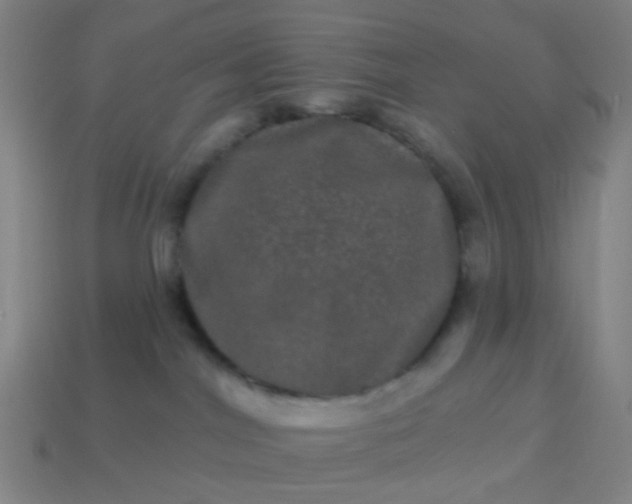 X0000114120044200910191732