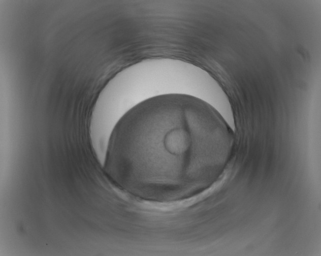 X0000114120045200910191732