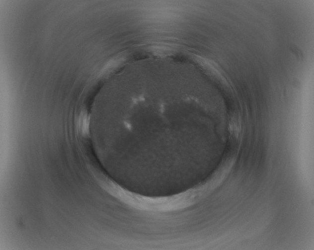 X0000114120046200910191732