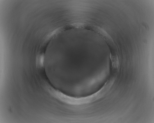 X0000114120047200910191732