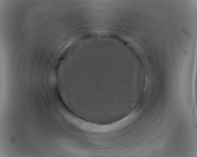 X0000114120048200910191732