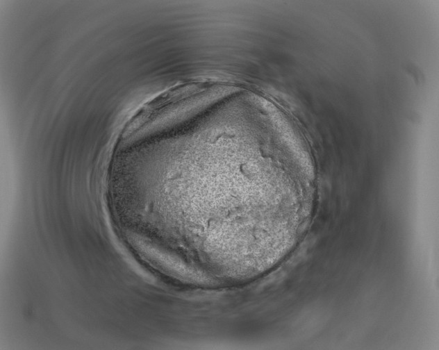 X0000114120049200910191731