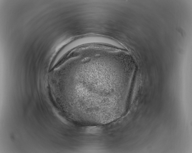 X0000114120050200910191731