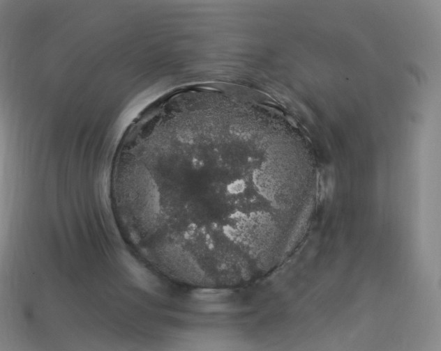 X0000114120051200910191731