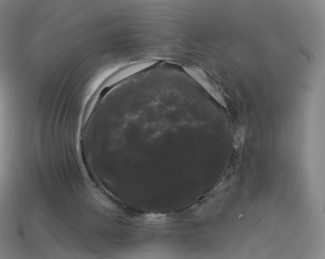 X0000114120052200910191731