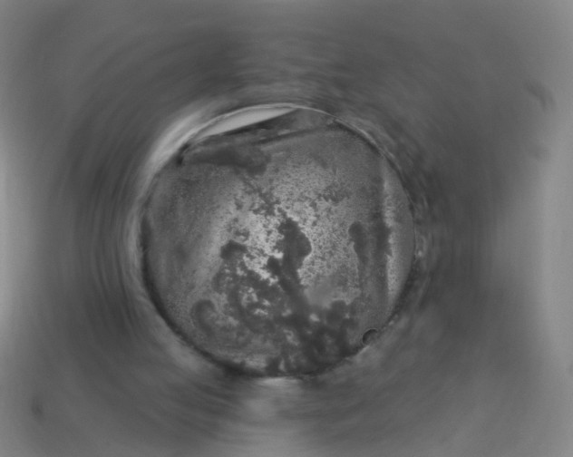 X0000114120053200910191731