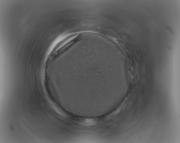 X0000114120056200910191732