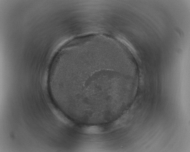 X0000114120058200910191732