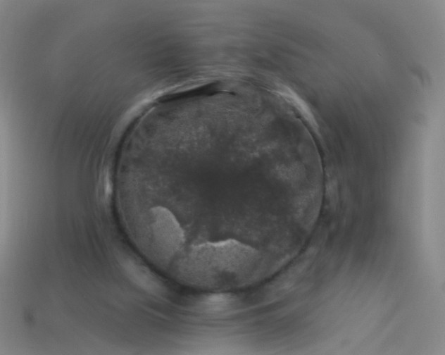 X0000114120059200910191732