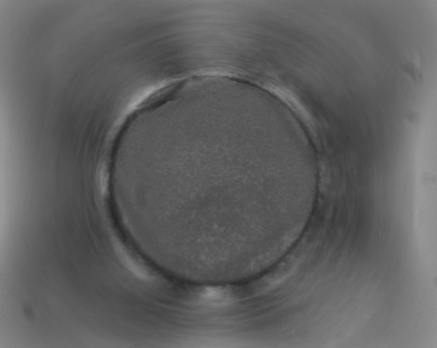 X0000114120060200910191732