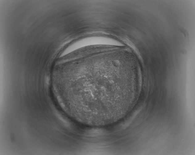 X0000114120063200910191732