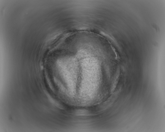 X0000114120066200910191732