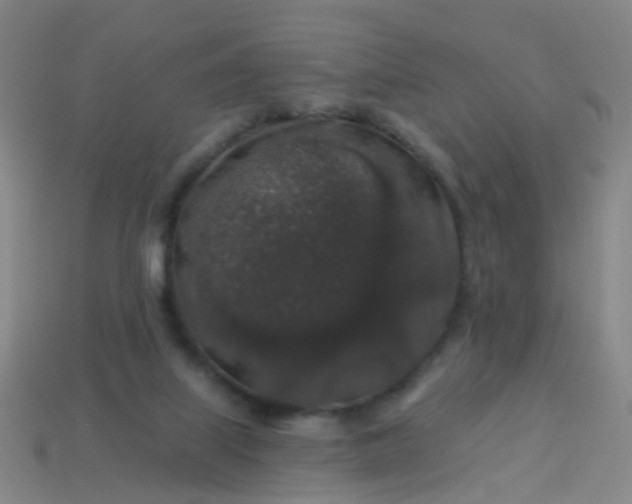 X0000114120067200910191732