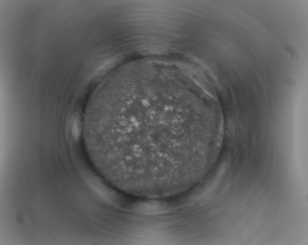 X0000114120069200910191732