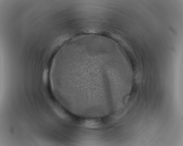 X0000114120070200910191732