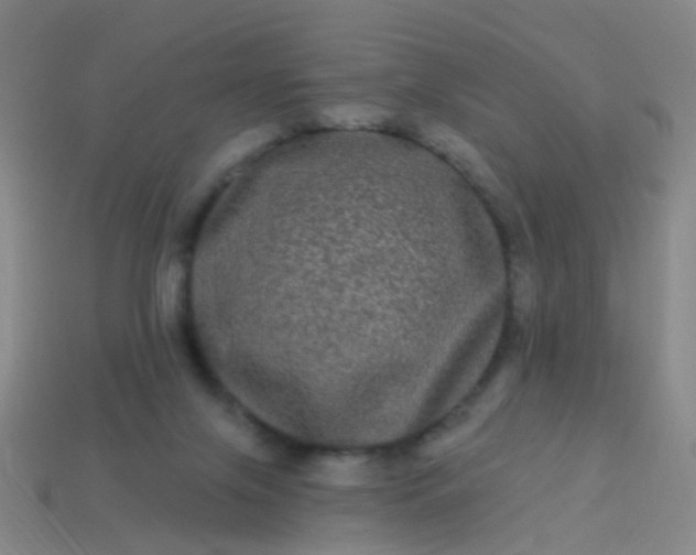 X0000114120071200910191732