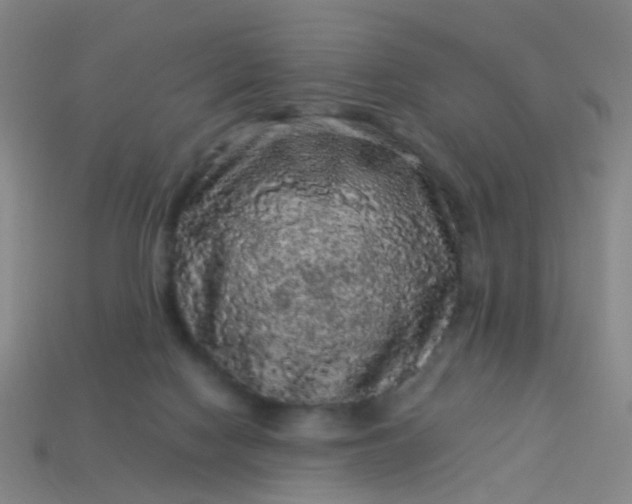 X0000114120074200910191732