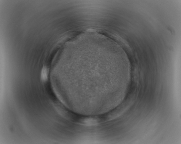 X0000114120075200910191732