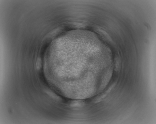 X0000114120077200910191732