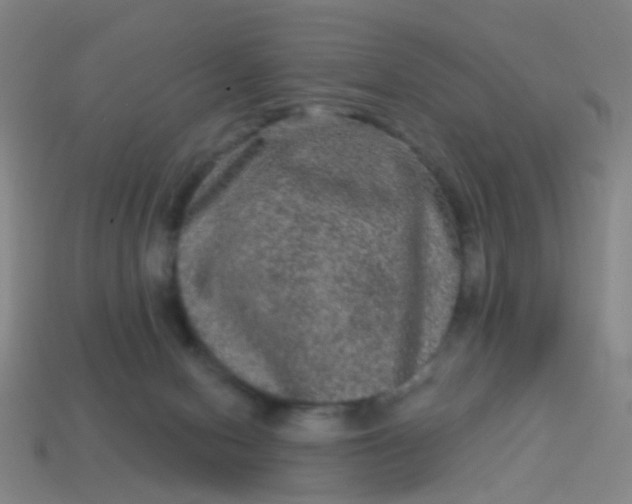 X0000114120078200910191732