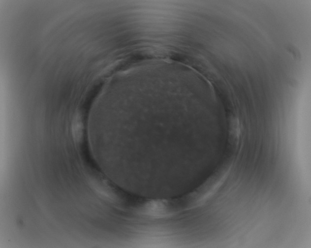 X0000114120080200910191732