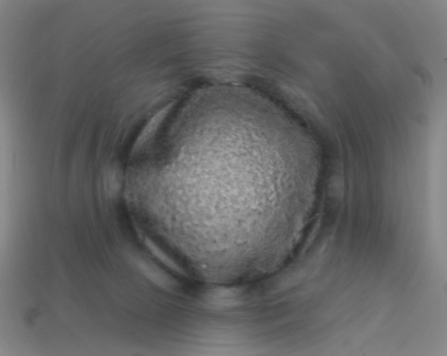 X0000114120081200910191732