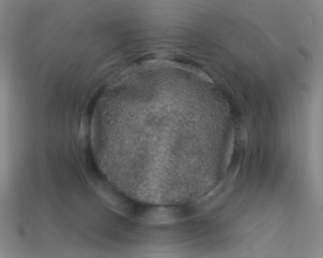 X0000114120082200910191732