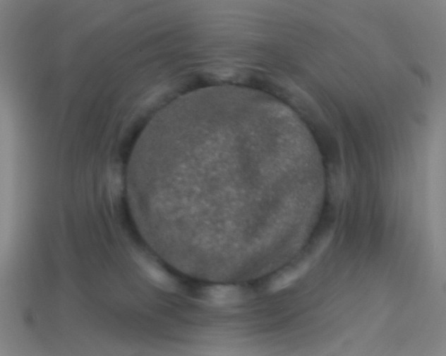 X0000114120085200910191732