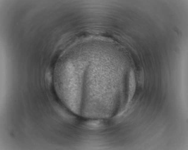 X0000114120086200910191732