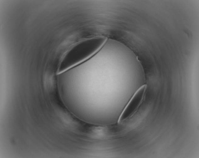 X0000114120088200910191732