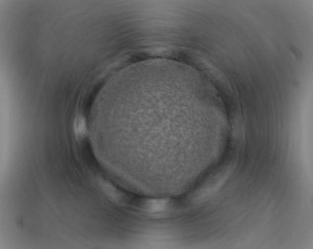 X0000114120089200910191732