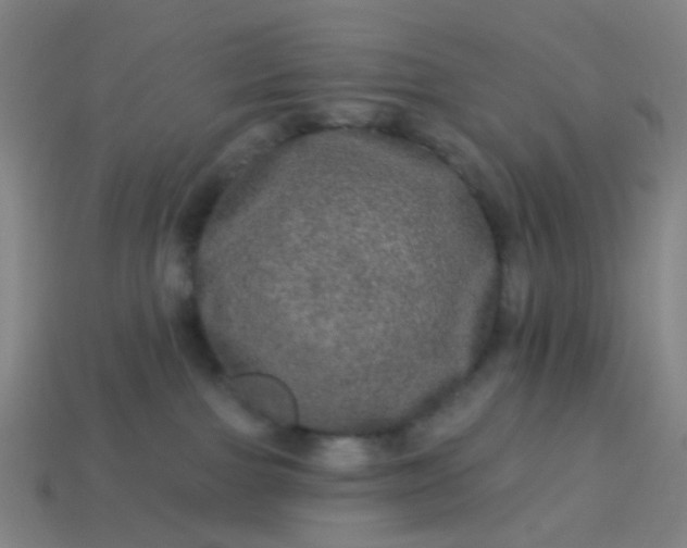 X0000114120091200910191732