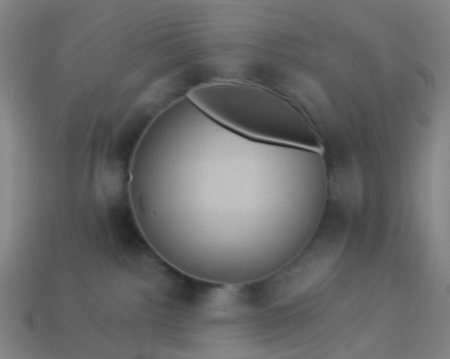 X0000114120092200910191732