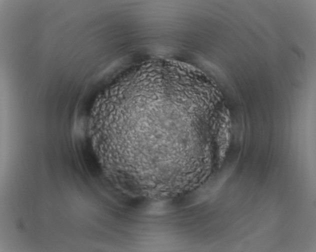 X0000114120093200910191732