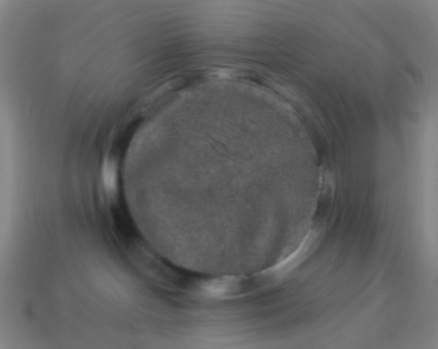 X0000114120094200910191732