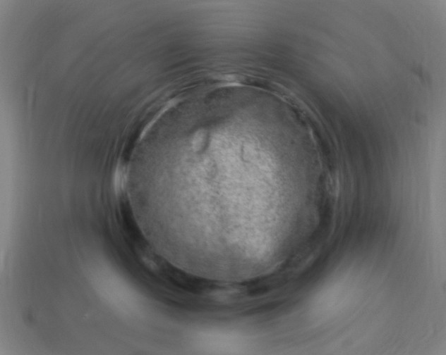 X0000114120095200910191732