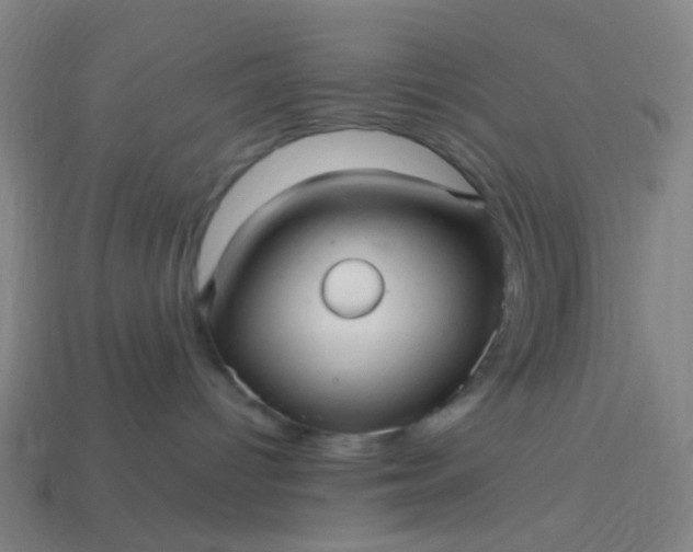 X0000114120096200910191732