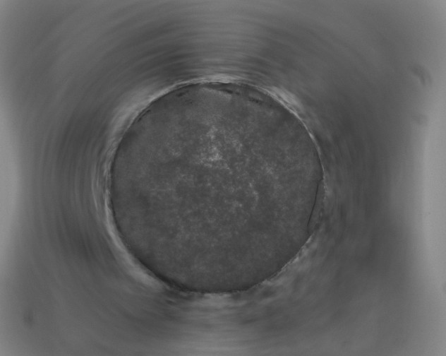 X0000114120097200910191731