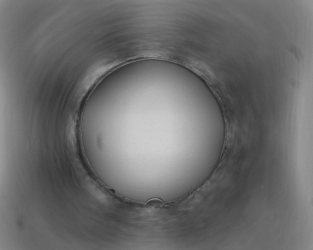 X0000114120098200910191731