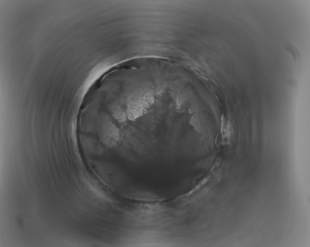 X0000114120099200910191731