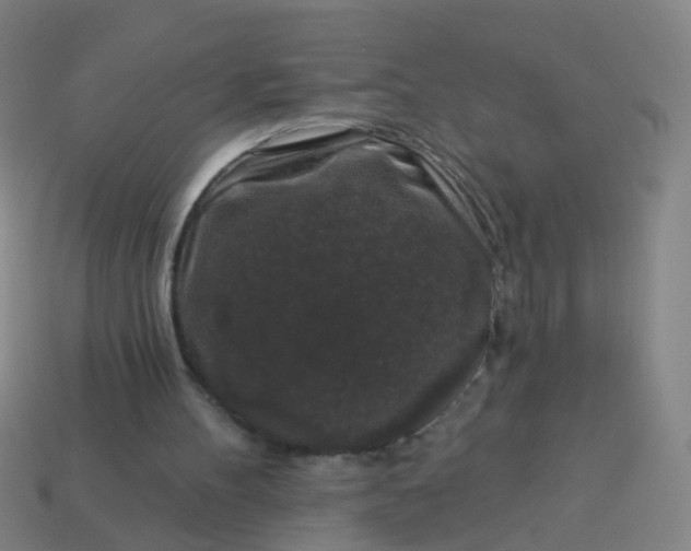 X0000114120100200910191731