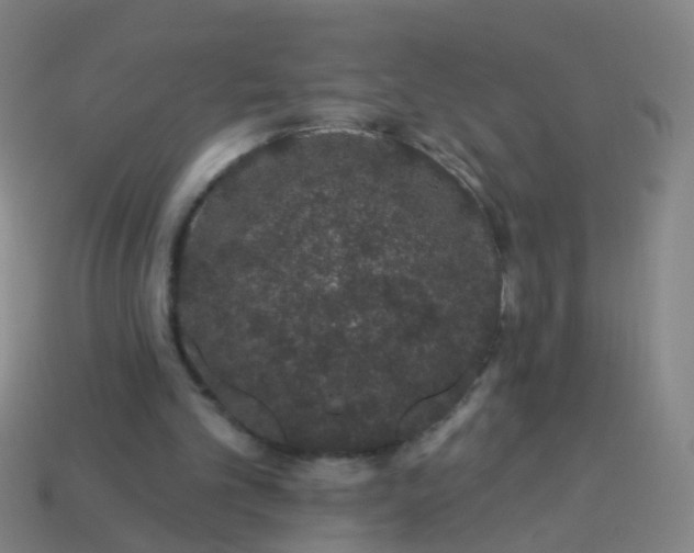 X0000114120101200910191731