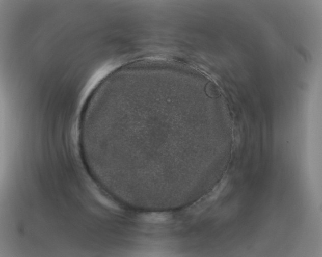 X0000114120102200910191731