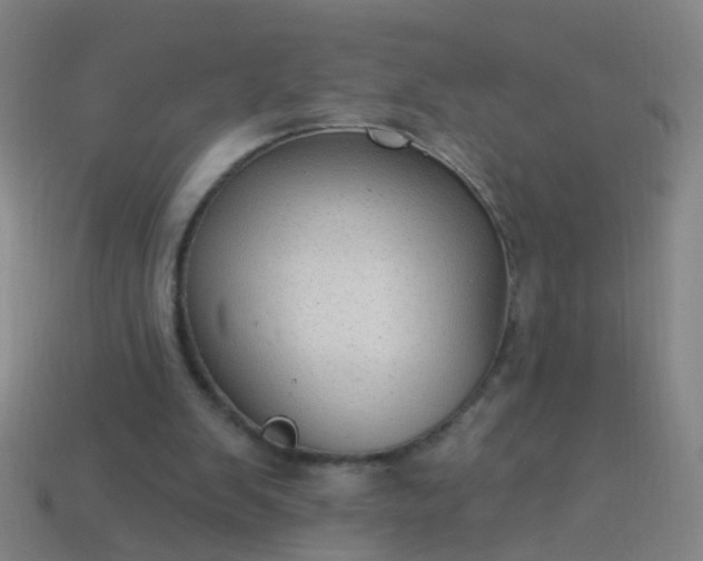 X0000114120103200910191731